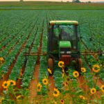 disoccupzione agricola