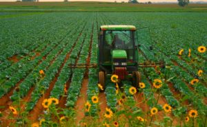 Disoccupazione agricola: quando richiederla, requisiti e come presentare la domanda